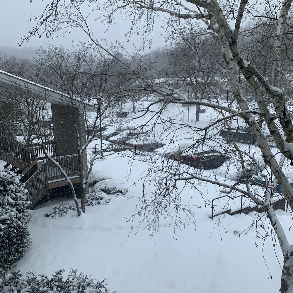 Meet your Posher, Malbelis